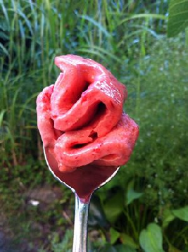 Voedselzandloper toetje: Aardbeienijs met banaan en pure chocola