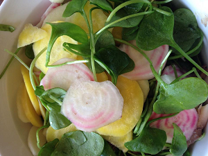 Posteleinsalade met rauwe biet en gerookte makreel